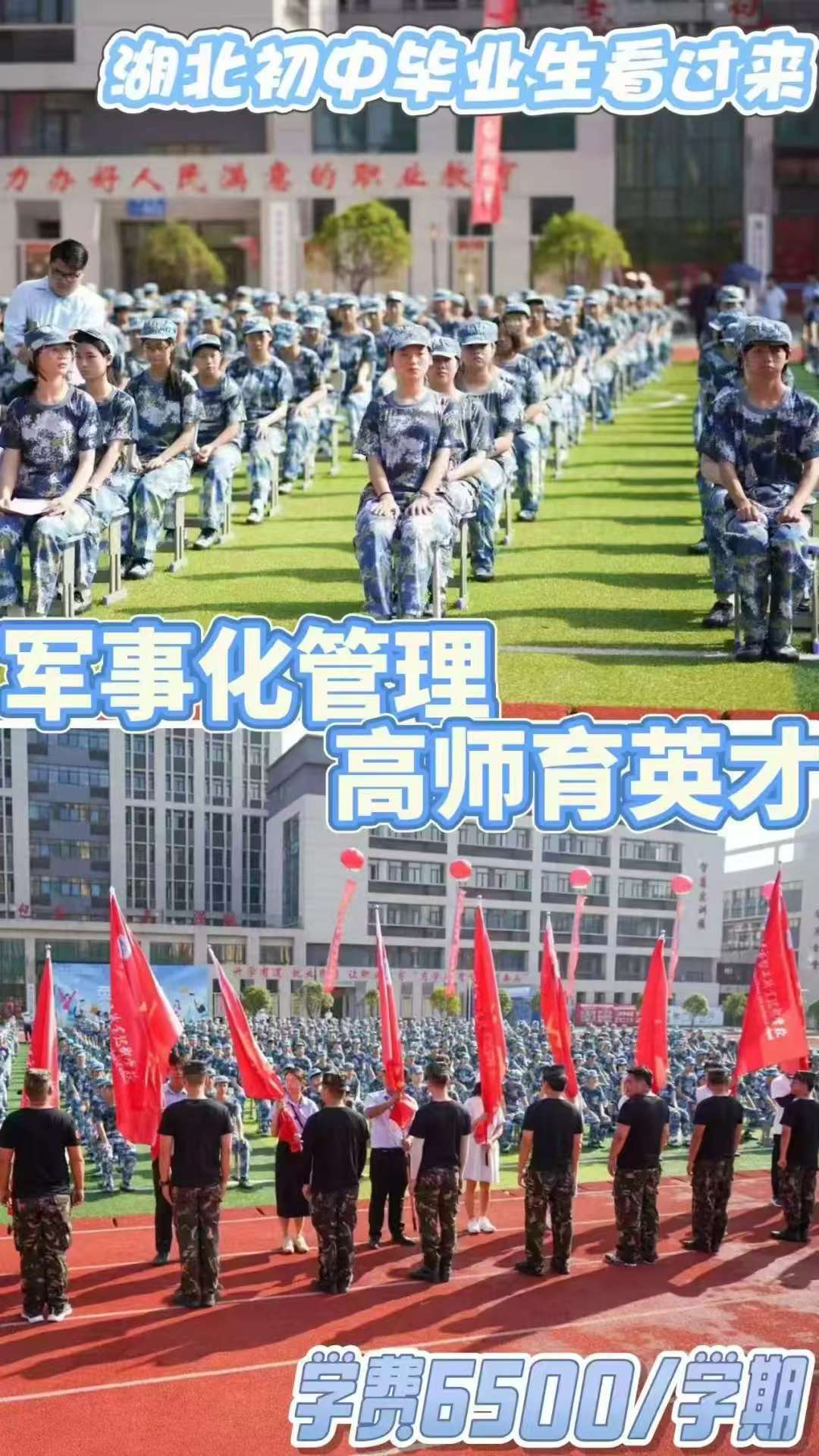 教师团队